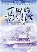 丁田的古代生活盘搜搜