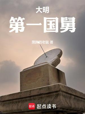 大明第一国舅笔趣阁免费阅读