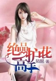 极品护花高手叶枫txt