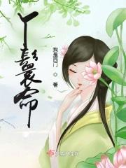 丫鬟命公主病
