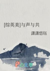 综英美与声与共TXT全本阅读