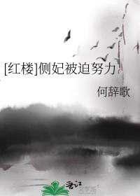 侧妃要转正