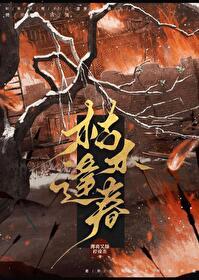 枯木逢春歌手