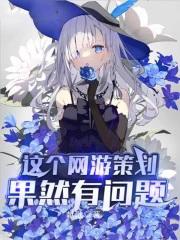 这个网游策划果然有问题英语