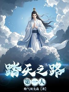 踏天之上的境界