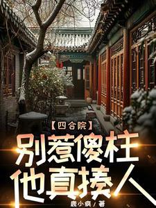 四合院四合院傻柱的别样人生