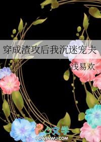 穿成渣攻后我沉迷宠夫 作者清浅易欢