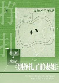 别挣扎了前妻姐免费阅读