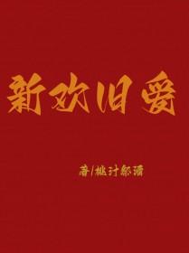 新欢旧爱dj经典