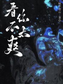 看我不爽什么意思