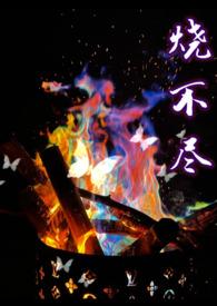 烧不尽番外四
